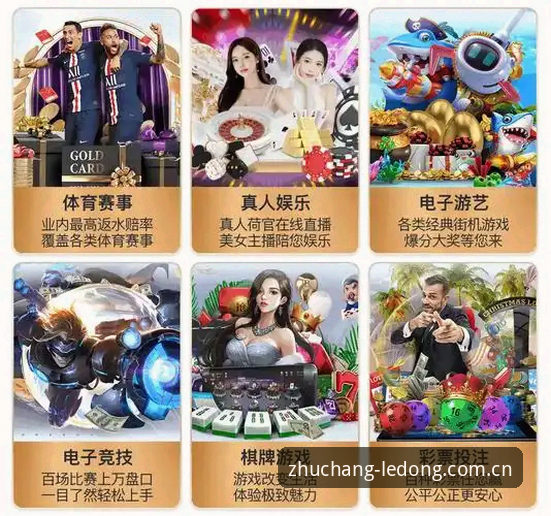 乐动体育平台入口官方主站详解：坐镇主场的掌心体验